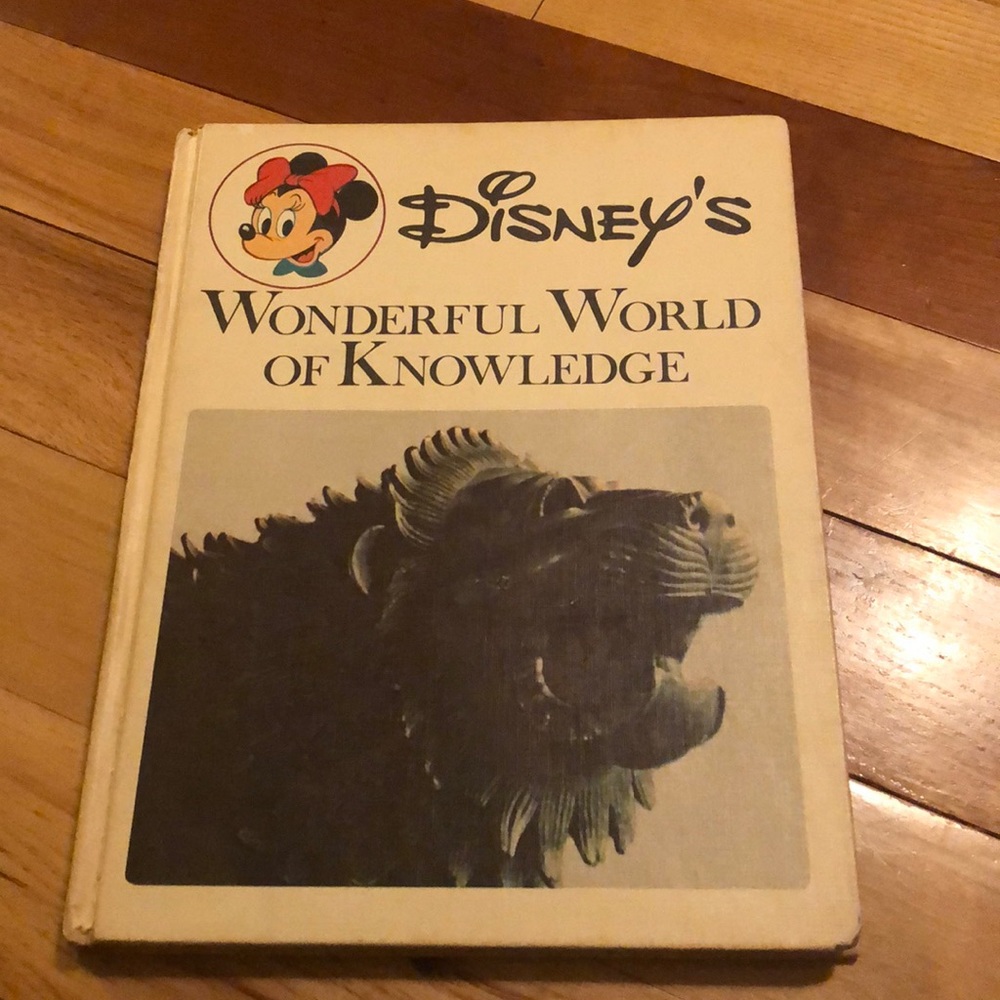 Disney’s Wonderful World of Knowledge book